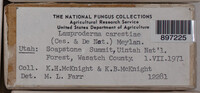 Image Associated With the Occurence